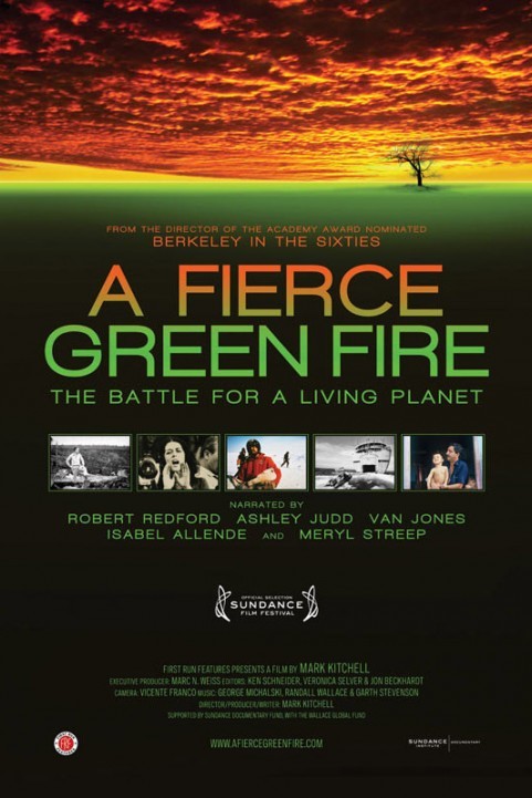 A Fierce Green Fire (2013) poster
