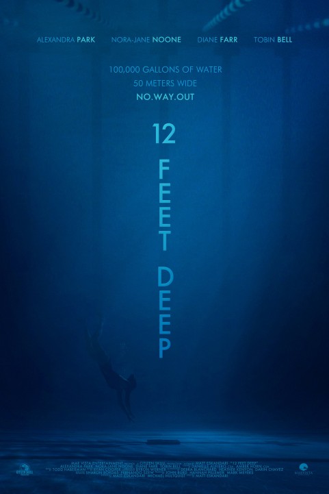 12 Feet Deep (2016) poster