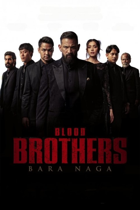 Blood Brothers: Dragon's Embers poster