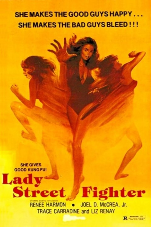 Lady Street Fighter poster