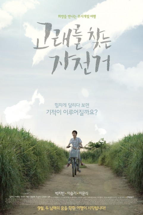 Miracle poster