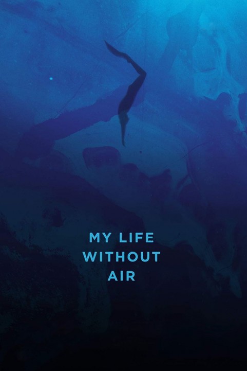 A Life Witho poster