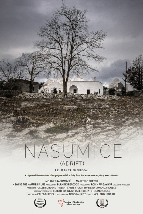 Adrift poster
