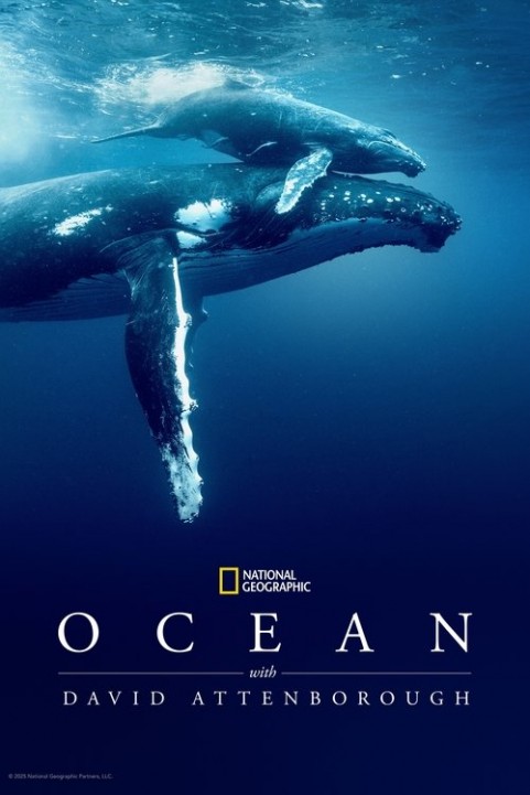Ocean with David Attenborough poster