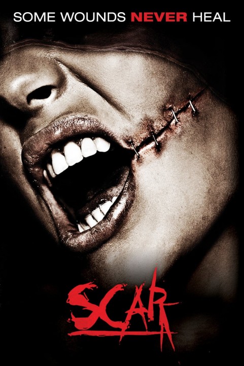 Scar poster