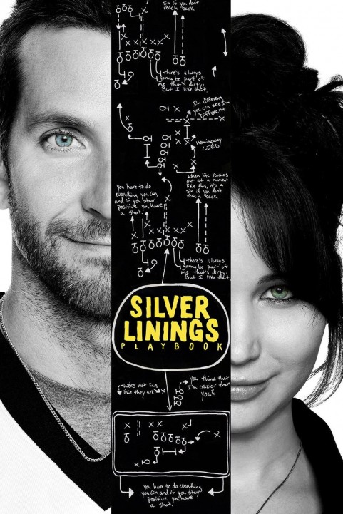 Silver Linings Playbook (2012) poster