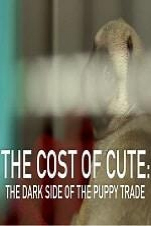 The Cost Of Cute: The Dark Side Of The Puppy Trade poster