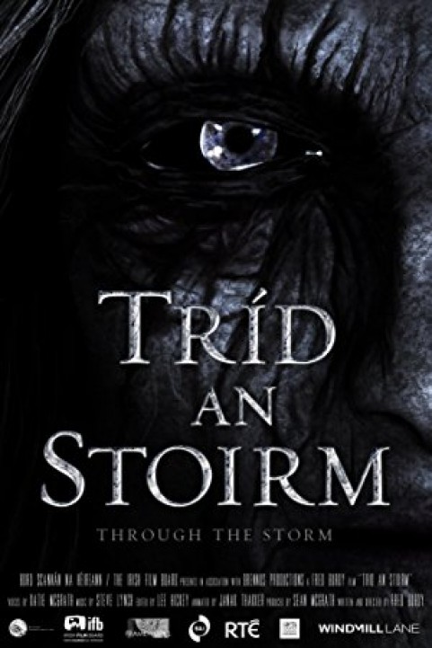Through the Storm poster