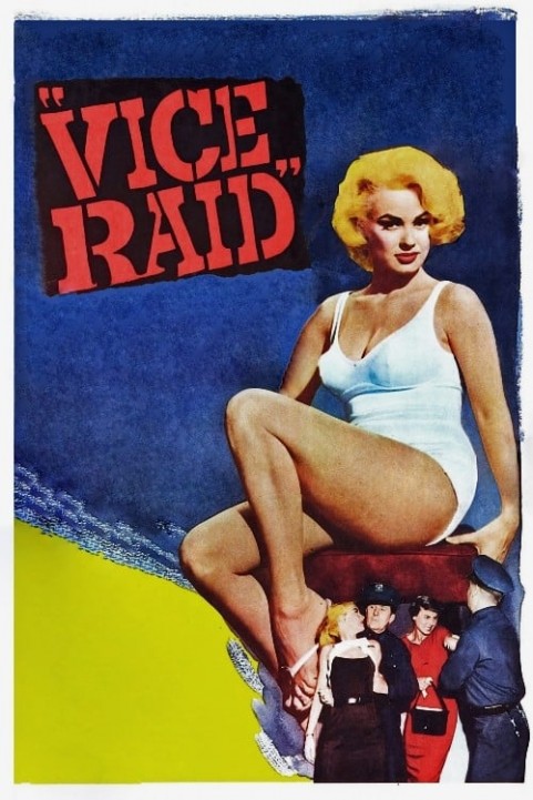 Vice Raid poster