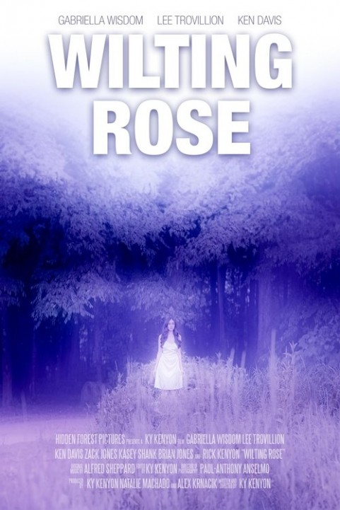 Wilting Rose poster