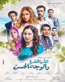 Brooks, Meadows and Lovely Faces (2016) - الماء والخضرة والوجه الحسن poster