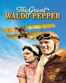 The Great Waldo Pepper (1975) poster