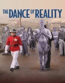 La danza de la realidad (2013) poster