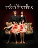 Tale of Two Sisters poster
