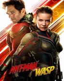 Ant-Man and the Wasp (2018) Free Download