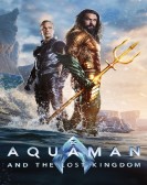 Aquaman and the Lost Kingdom Free Download