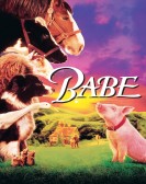 Babe (1995) poster