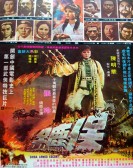Bao biao poster