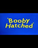 Booby Hatched poster
