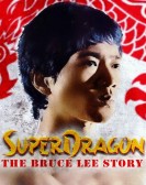 Bruce Lee: A Dragon Story poster