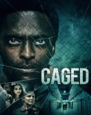 Caged poster