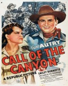 Call of the Canyon poster