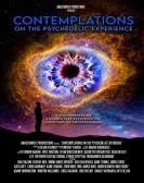 Contemplations : On the Psychedelic Experience poster