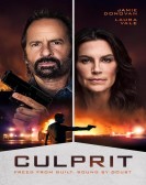 Culprit poster