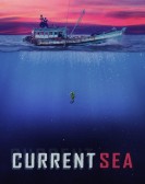 Current Sea poster