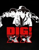 DIG! XX Free Download