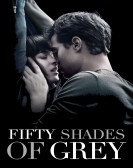 Fifty Shades of Grey (2015) Free Download