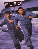 Fled poster
