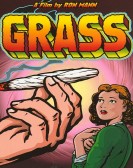 Grass Free Download