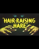 Hair-Raising poster
