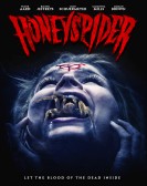 Honeyspider poster