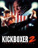 Kickboxer 2:  The Road Back poster