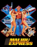 Malibu Express (1985) poster