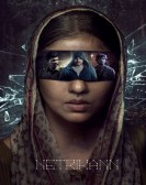 Netrikann poster
