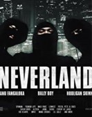 Neverland poster