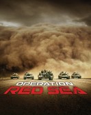 Operation Red Sea poster