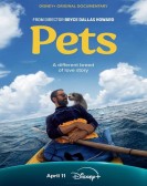 Pets poster