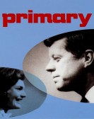 Primary Free Download