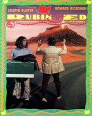 Rubin & Ed poster