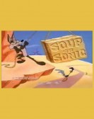 Soup or Sonic poster