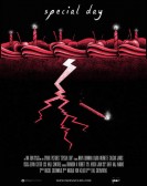 Special Day poster
