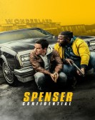 Spenser Confidential (2020) poster
