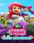 Strawberry Shortcake's Spring Spectacular poster