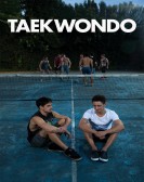Taekwondo poster
