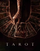 Tarot Free Download