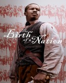The Birth of a Nation (2016) poster